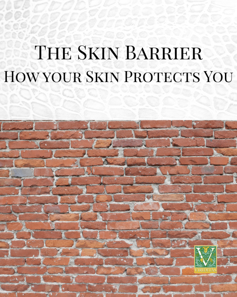 "the Skin Barrier, how your skin protects you" in text on a background of alligator scales and a brick wall
